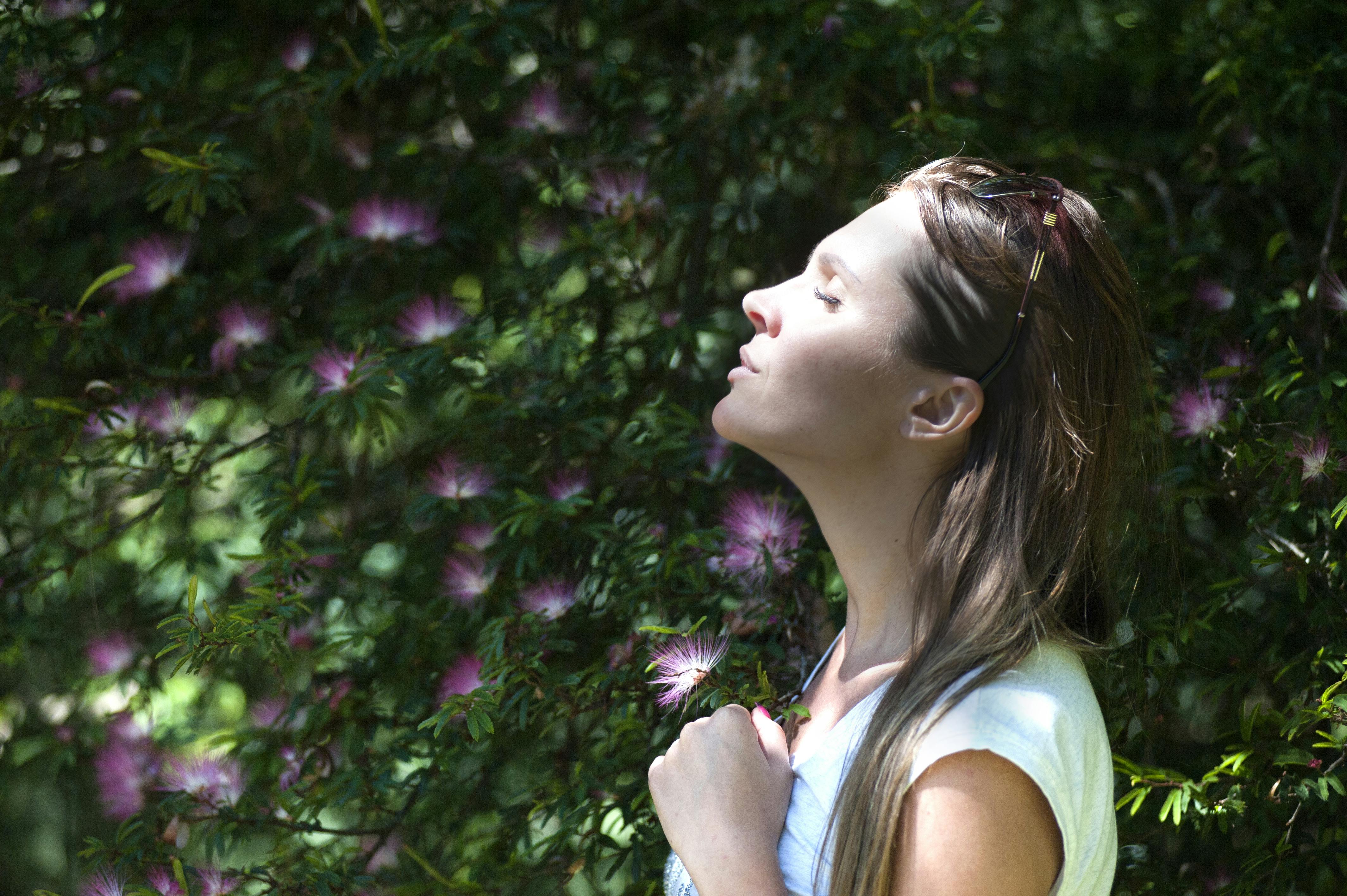 Course Image for Q66599 Pathways to Relaxation and Wellbeing - Taster
