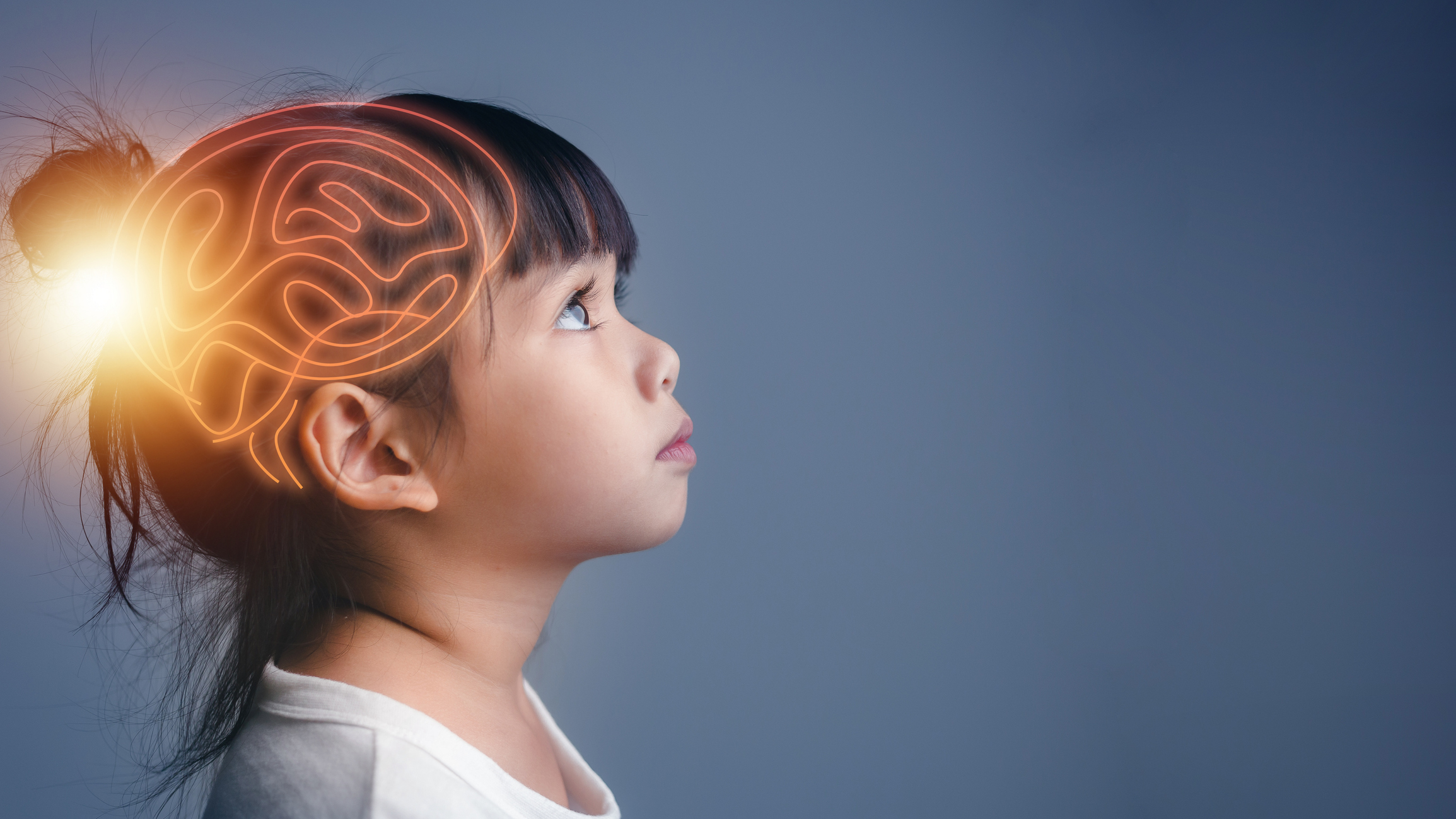 Course Image for Q30094 Level 2 Award in an Introduction to Neuroscience in Early Years