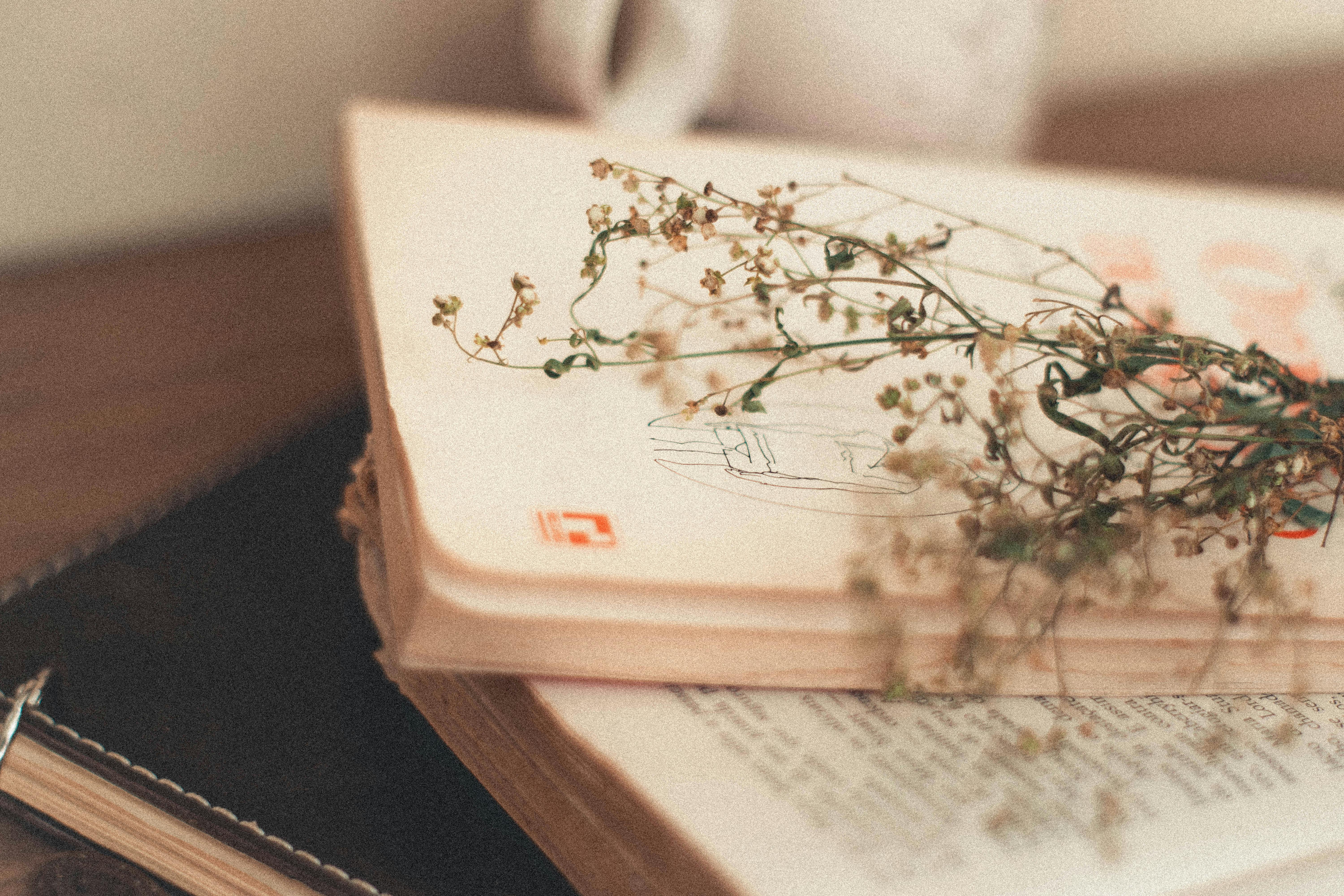 Course Image for T00006 Exploring Creative Writing - Celtic Poetry - Starter