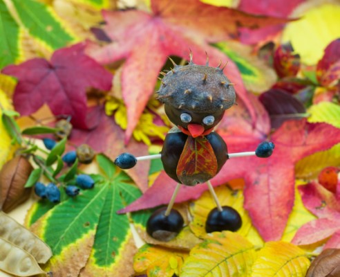 Course Image for T00151 Seasonal Crafts Learning Together: Early Years (Autumn) - Developer