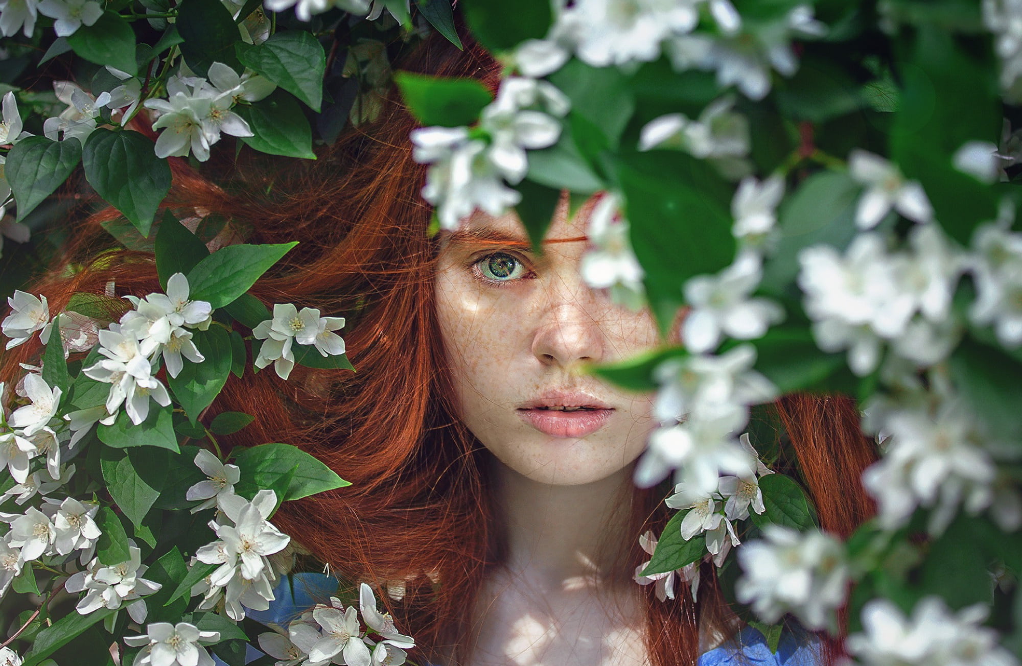 Course Image for T00491 Community Connection Through The Arts: Your Wellbeing - Starter