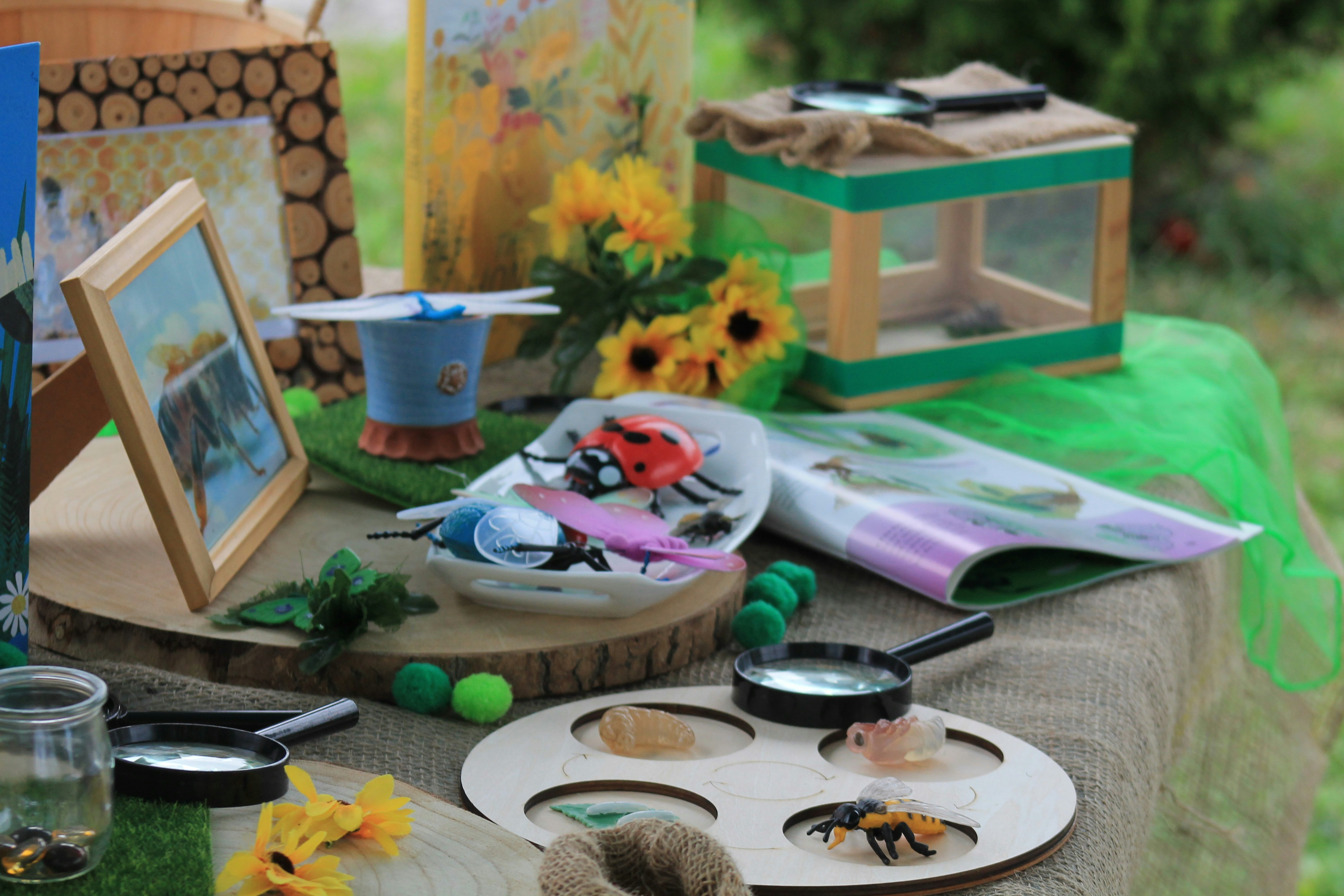 Course Image for T00603 Little Gardeners: Developing a Wildlife Garden - Starter
