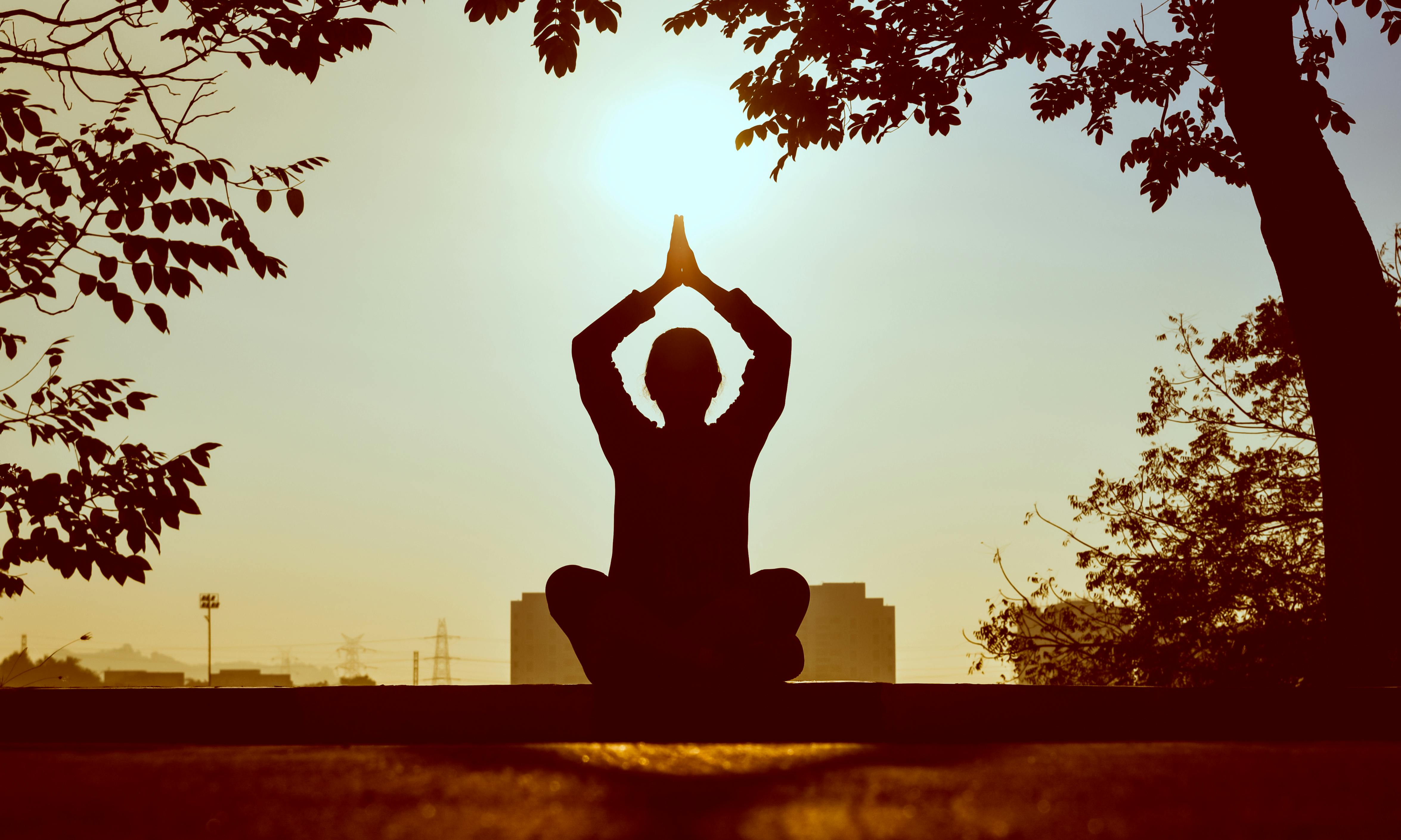 Course Image for Q66269 Gentle Yoga For Mental Wellbeing - Developer